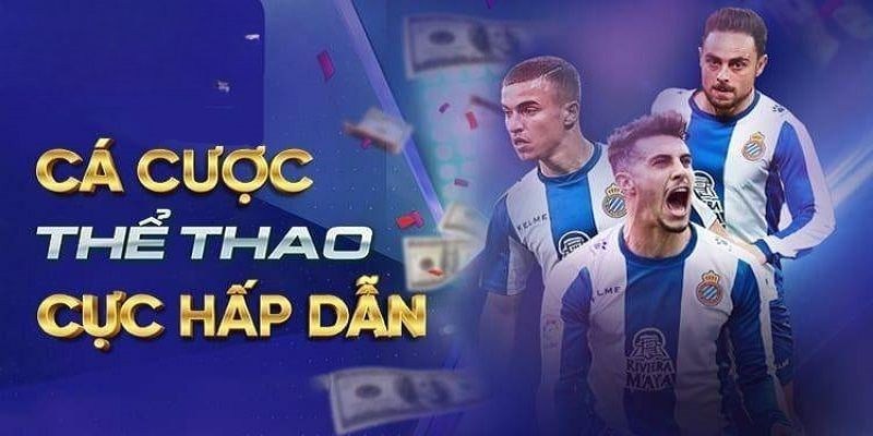 Tìm hiểu thông tin về các bộ môn thể thao